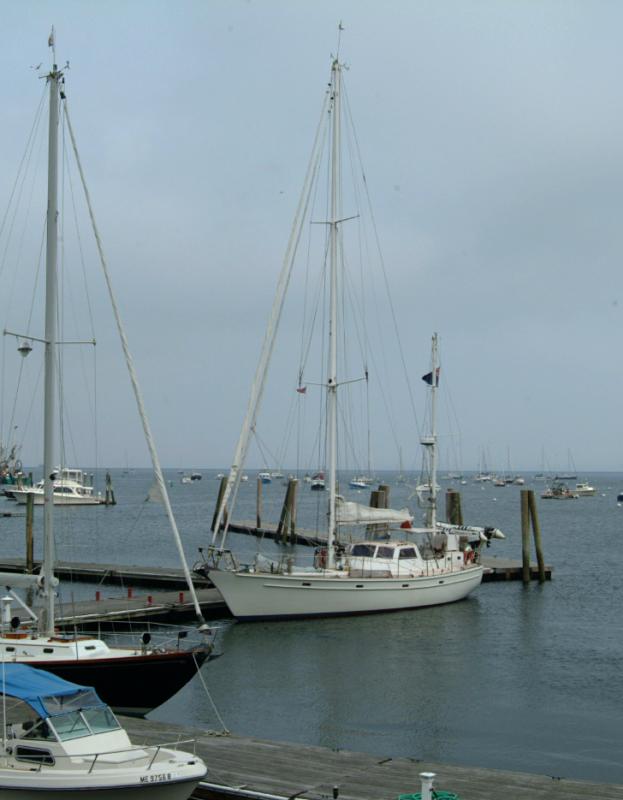 Victoria, at rest in Rockland. (Photo: Shlomit Auciello)