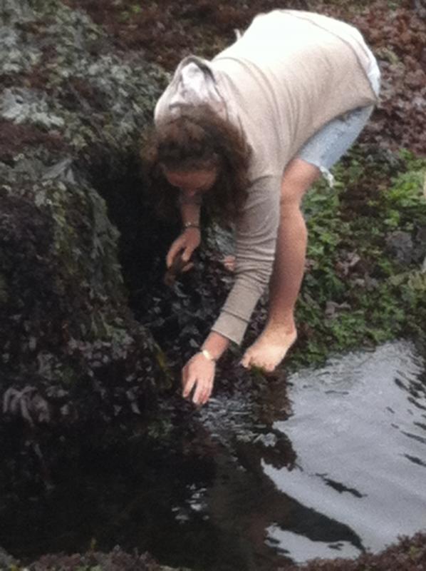 Carly harvesting seaweed. (Courtesy Claire Weinberg)