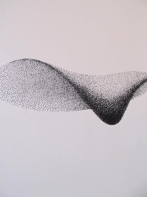 One of Kelly’s pen and ink flock of birds drawings currently on display at Chase’s Daily. Photo by Kay Stephens