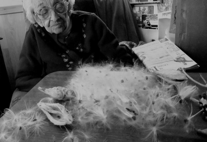 Ruth and the cattail fluff. Courtesy Elisa Wite Hurley