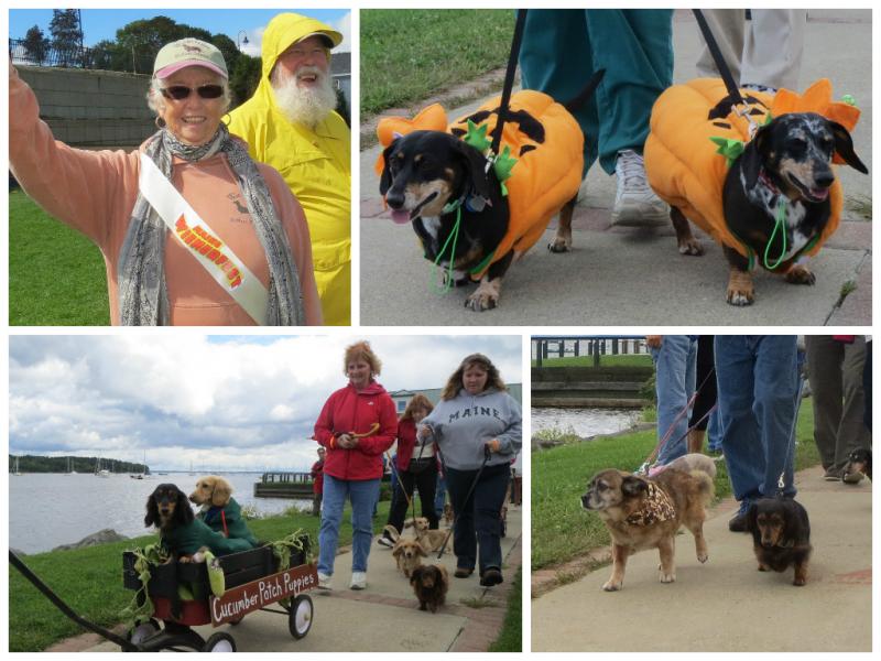 The Wienerfest parade begins. (Photos by Erica Thoms)