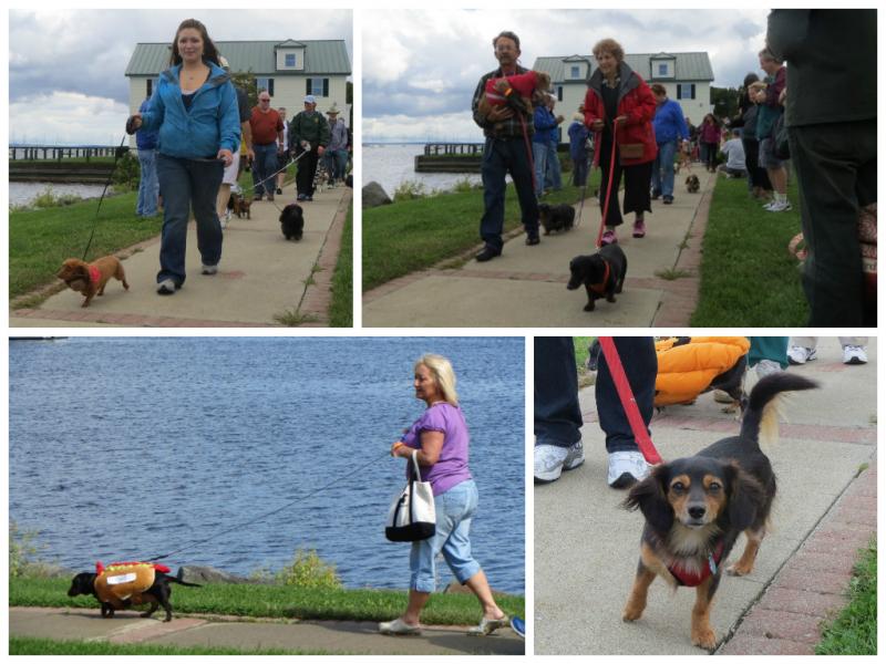 Weinerfest parade collage. (Photos by Erica Thoms)