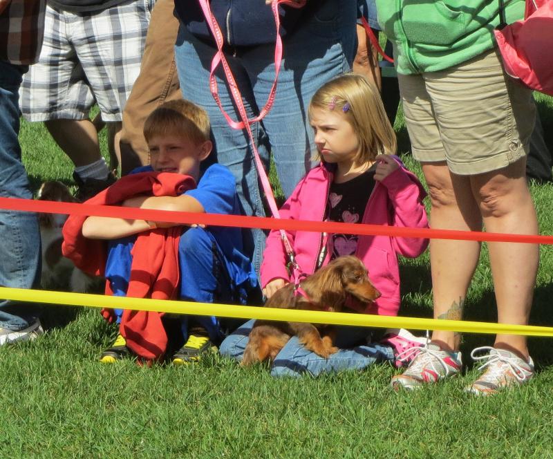 Children watch the costume contest. (Photo by Erica Thoms)