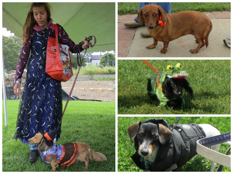 10th annual Wienerfest collage. (Photos by Erica Thoms)