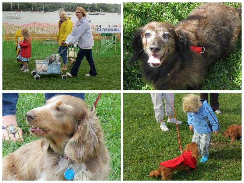 10th annual Wienerfest collage. (Photos by Erica Thoms)