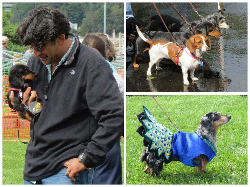 10th annual Wienerfest collage. (Photos by Erica Thoms)