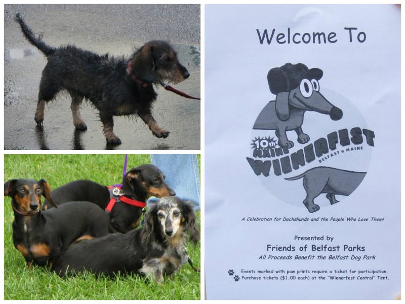 Scenes from the 10th annual Wienerfest in Belfast. (Photos by Erica Thoms)