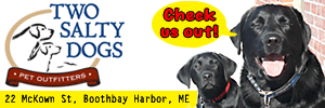 Click to visit us!