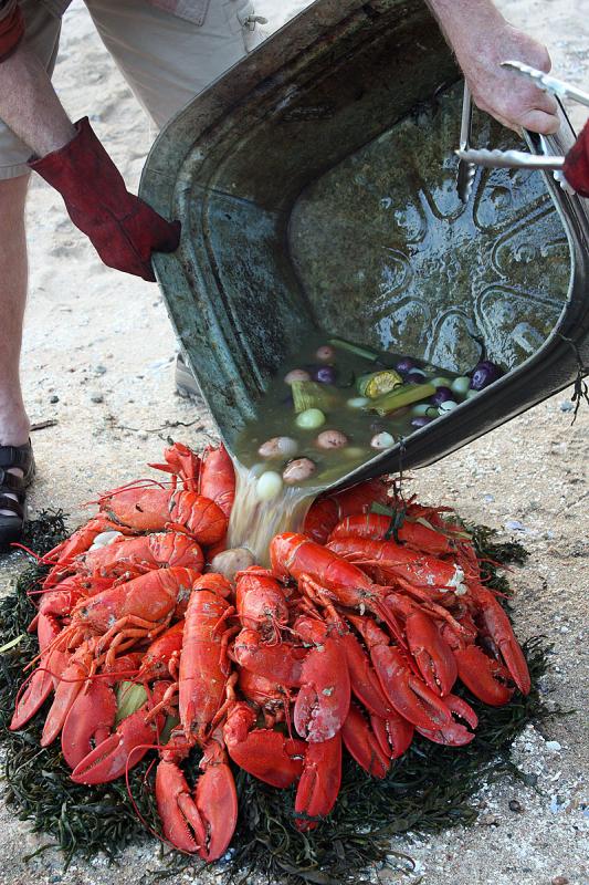 Almost ready to serve the lobster picnic. (Photo by Holly S. Edwards)