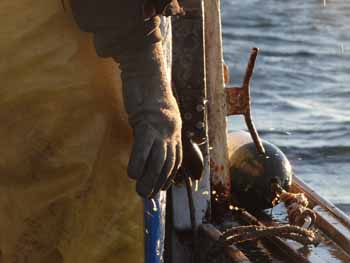 Fishing gear wears out quickly with exposure to the elements. (Photo Shlomit Auciello) Photo Shlomit Auciello