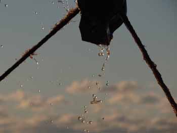 Nothing stays dry. (Photo Shlomit Auciello) Photo Shlomit Auciello