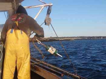 Gary Libby said he prefers working the ground fishery to the repetitive nature of lobstering. (Photo Shlomit Auciello) Photo Shlomit Auciello