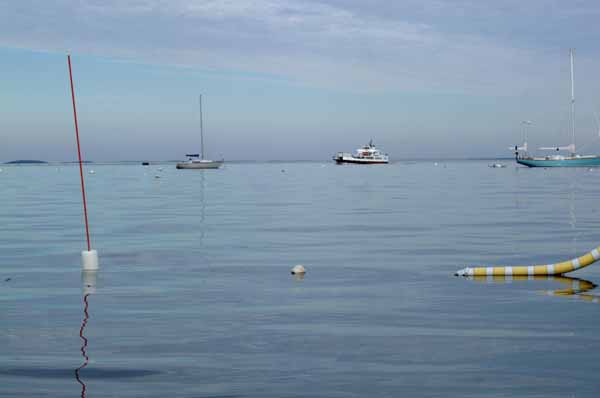 Quiet reflection No. 4 (Photo Shlomit Auciello)
