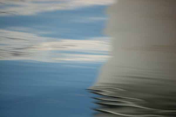 Quiet reflection No. 8 (Photo Shlomit Auciello)