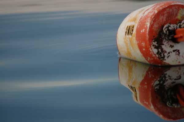 Quiet reflection No. 10 (Photo Shlomit Auciello)