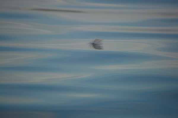 Quiet reflection No. 11 (Photo Shlomit Auciello)