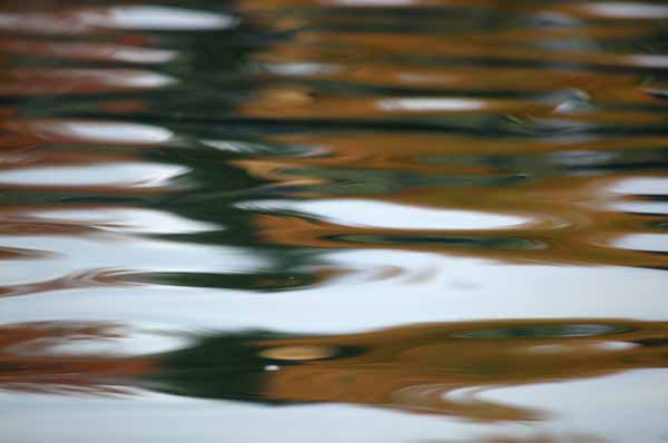 Quiet reflection No. 12 (Photo Shlomit Auciello)