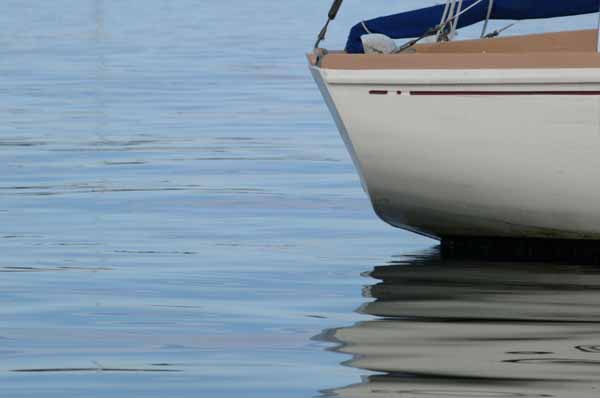 A quiet day on the water offers opportunities for reflection. Nothing appears to be happening, until you see what is right in front of you. (Photo Shlomit Auciello)
