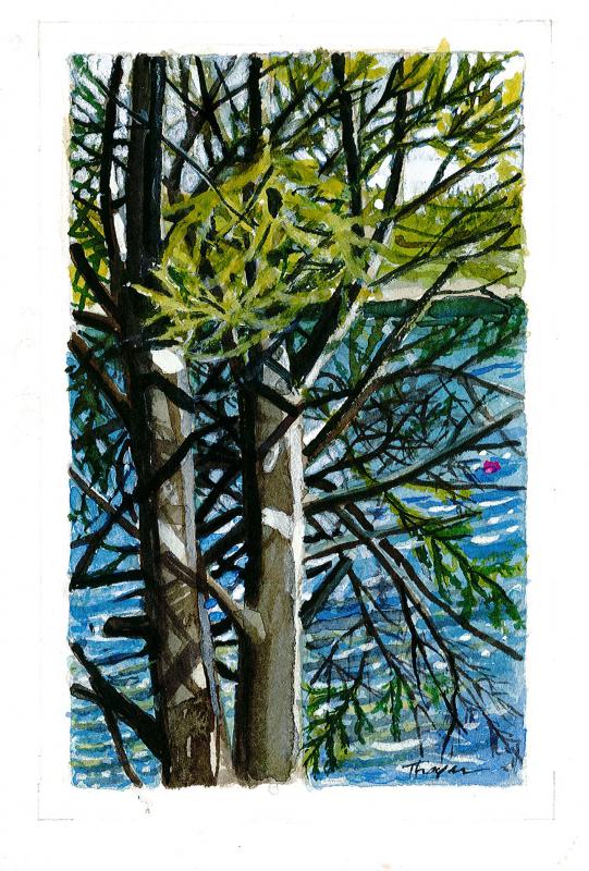 “Trees on the St. George,” by Suzi Thayer.