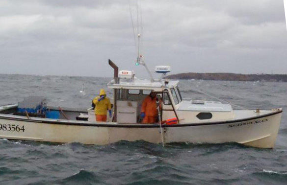 Matt Weber lobstering on his F/V Seldom Seen. (Courtesy Monhegan Brewing Company)