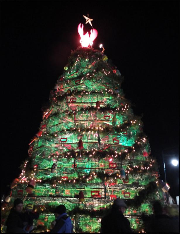 Rockland's Lobster Trap Tree lights up hearts during the Festival. (Photo by Chris Wolf)