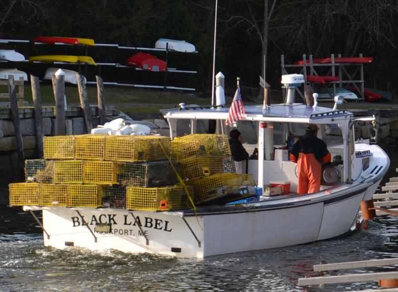 Rockport lobstermen have hauled some of their traps for the season, some closer to shore they are leaving in the water. (Photo by Lynda Clancy) Oyster River Lobster, Inc.