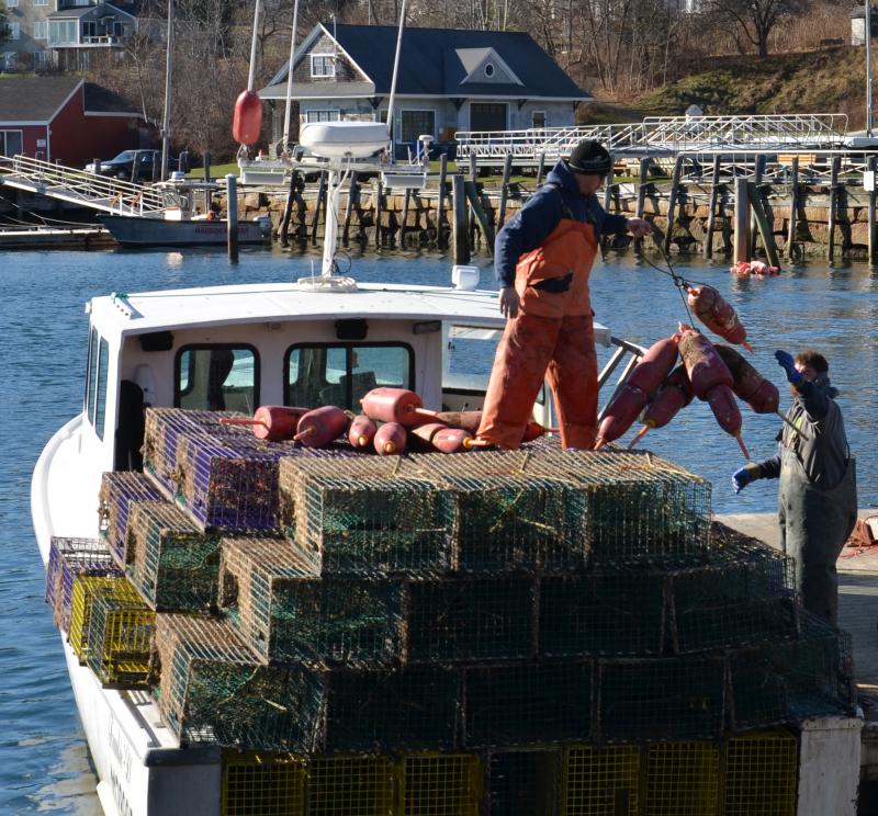 Buoys and traps are coming landside for the winter. (Photo by Lynda Clancy) Oyster River Lobster, Inc.
