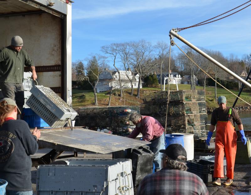 The commercial wharf at Rockport Harbor is busy on a warm November afternoon. (Photo by Lynda Clancy) Oyster River Lobster, Inc.