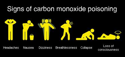 signs of carbon monoxide poisoning in dog