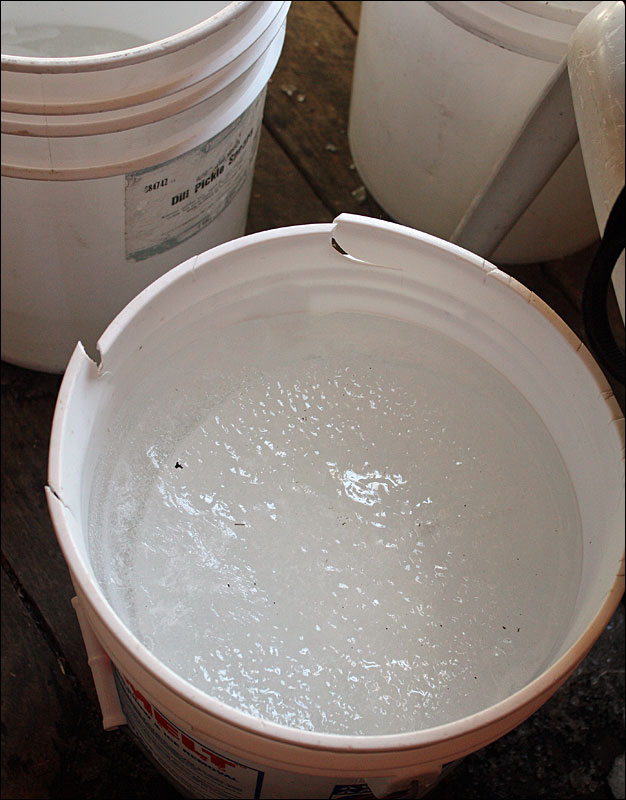 Every bit of Tom Cox’s maple sap is currently frozen solid, which means he can still use it, but he has to wait for it to thaw back to a liquid. (Photo by Holly S. Edwards)