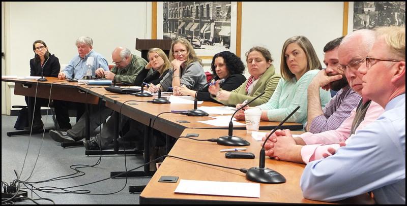 Members of Wednesday night's panel before the Rockland City Council are, left to right: Charlotte Dixon, vice chairman CMCA; John Grondin, Parks Commission; Bill Pearce, Parks Commission; Emily Schuchart, Farnsworth Art Museum; Robin MacIntosh, Pen Bay Regional Chamber of Commerce; Allison Leiber, Parks Commission; Maggi Blue, Midcoast Magnet; Sarah Ruddy, Strand Theater; Jared Cowan, Arts in Rockland; Gordon Page, Rockland Main Street; and Chris Brownawell Director Farnsworth Art Museum.