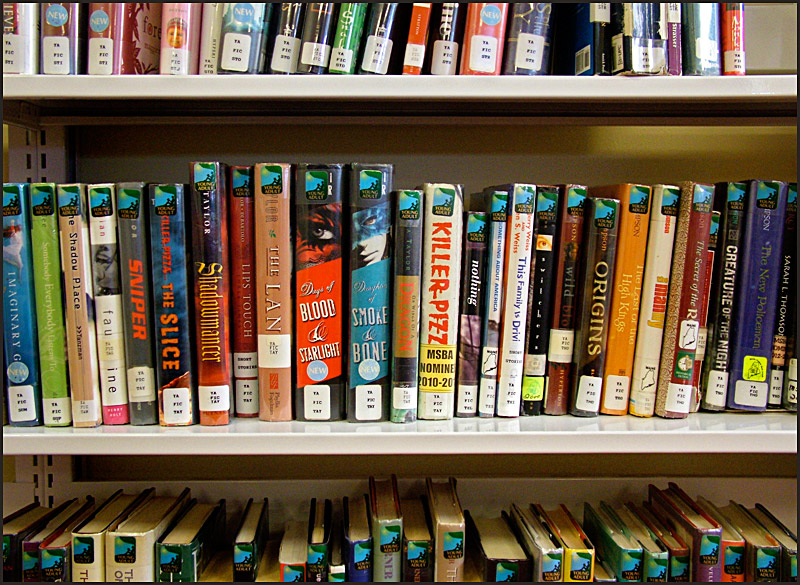 “Killer Pizza” and “Lips Touch” have replaced “Harry the Dirty Dog” and “Don’t Let the Pigeon Drive the Bus” in the Belfast Free Library’s new second-floor teen space. (Photo by Ethan Andrews)