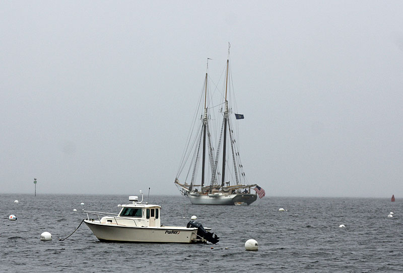 And away they go! (Photo by Holly S. Edwards)
