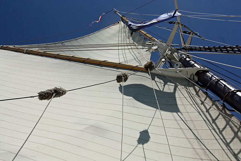 There are many points on a sail rig where lines can chafe the sails, and baggywrinkle is the term for soft coverings that reduce that chafe. Bagglywrinkle are the two fuzzy covers on the diagonal lines in the photo. (Photo by Holly S. Edwards)