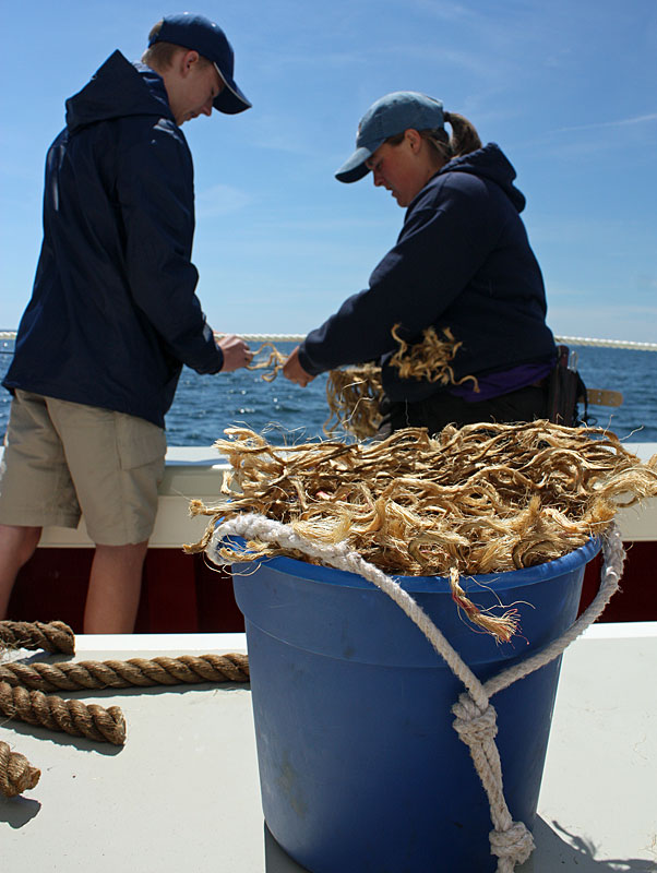 Little goes to waste on a schooner, and so old line is untwisted to be used to make baggywrinkle. Pictured is apprentice Erik Blackwell and first mate Rebecca Johnson. (Photo by Holly S. Edwards)