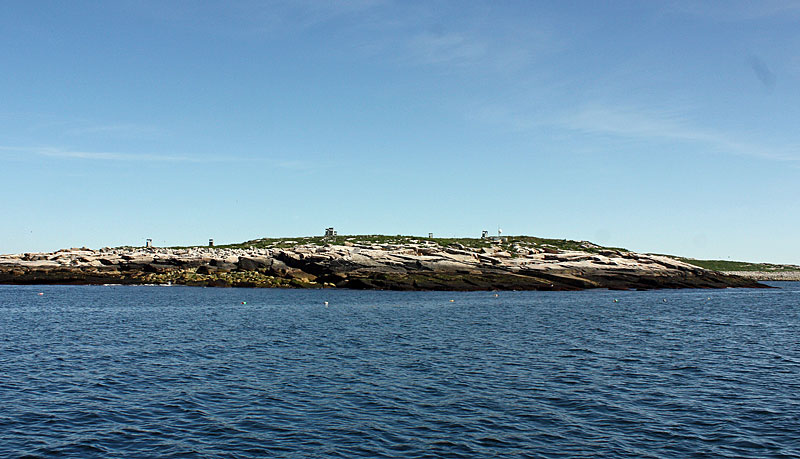 Seal Island. (Photo by Holly S. Edwards)