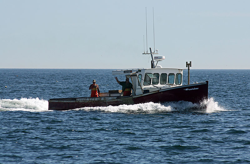 There is no shortage of lobster boats along the coast of Maine. (Photo by Holly S. Edwards)