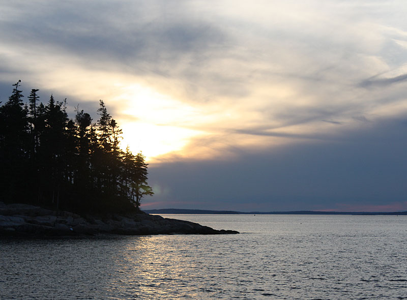 (Photo by Holly S. Edwards)