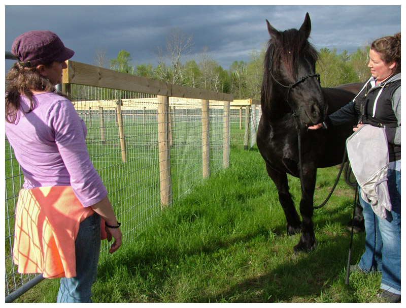 Jasmine Keithan, right, with her Frisian “Linus,” talks to Amy Miller in the pastures at Seahorse Stables. (Photo by Ethan Andrews)