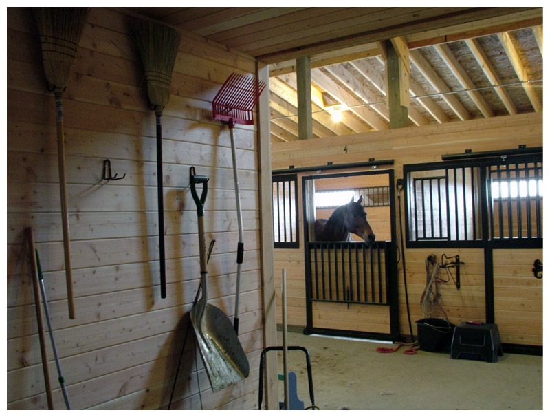 Inside the barn at Seahorse Stables. (Photo by Ethan Andrews)
