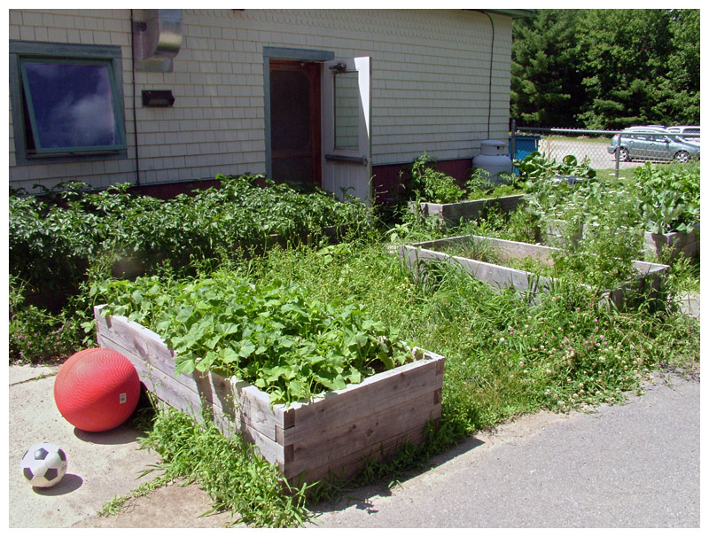 Belfast Area Children’s Center, sister school to Starrett Children’s Center, installed these high, raised planters last year over an existing garden plot. (Photo by Ethan Andrews)