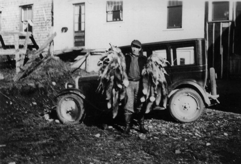 Joe behind the barn with armloads of pelts.
Photo courtesy Lincolnville Historical Society Joe Nickerson