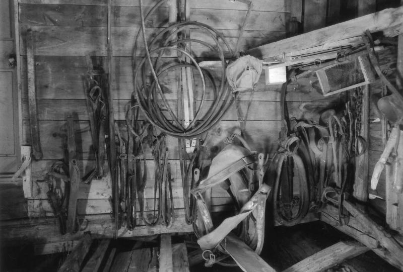 The harness was put away neatly, as if it would be needed again someday.
Photo by Peggy Bochkay harness