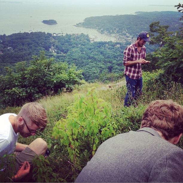 The visitors from Nashville pick blueberries atop Mt. Battie.
