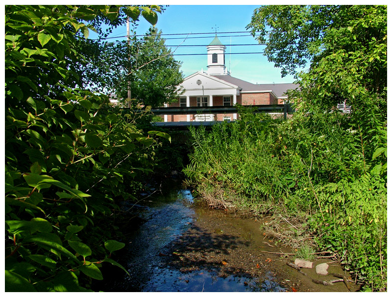 Responsibility for a waterway passing behind homes on Seaview Terrace and under Northport Avenue to the bay has been a point of contention between abutting resident Laurie Allen and the city for over two years. Last week, the City Council considered revisiting the question, possibly as part of a larger inventory of the city’s natural and directed storm water drainage. (Photo by Ethan Andrews)