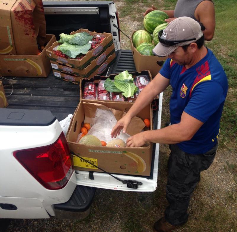 Donated fruits and vegetables from Walmart are delivered for Opal and Rosie. (Photo courtesy Endangered Ark Foundation)