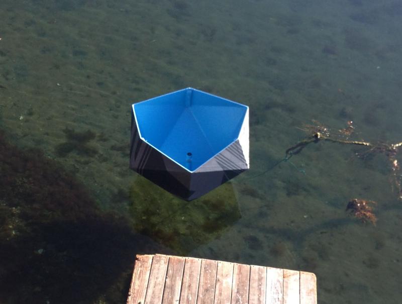 Sometimes it comes in close to the wharf.