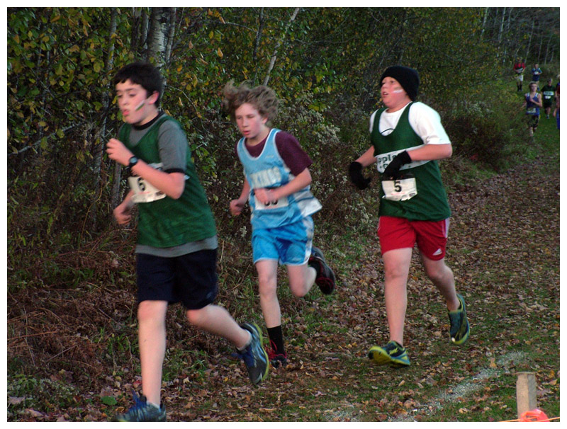 Runners pass through a wooded section of the course. (Photo by Ethan Andrews)