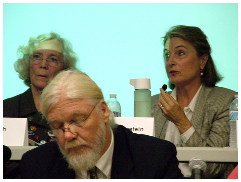 Christine Burstein, top right, speaks. Also pictured are Rep. Joan Welsch and Rep. Brian Jones. (Photo by Ethan Andrews)
