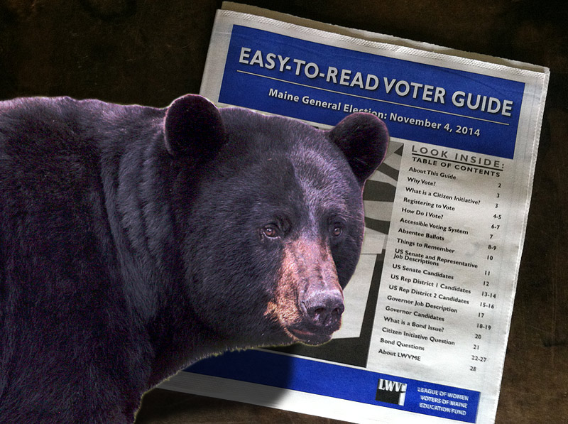 The upcoming referendum on bear baiting, which somewhat confusingly pits wildlife advocates against wildlife biologists, and sport hunters against other sport hunters, is as good a reason as any to pick up a copy of the League of Women Voters’ Election Guide. Among other things, the free publication translates crummy ballot language into plain English and summarizes the pro and con arguments for the citizen initiatives and bond questions voters will see on Nov. 4. (Graphic by Ethan Andrews; bear photo: USFWS Steve Hillebrand)